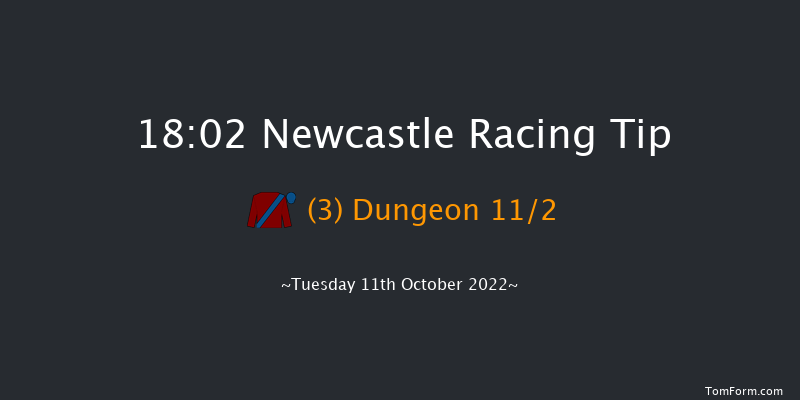 Newcastle 18:02 Maiden (Class 5) 10f Fri 7th Oct 2022