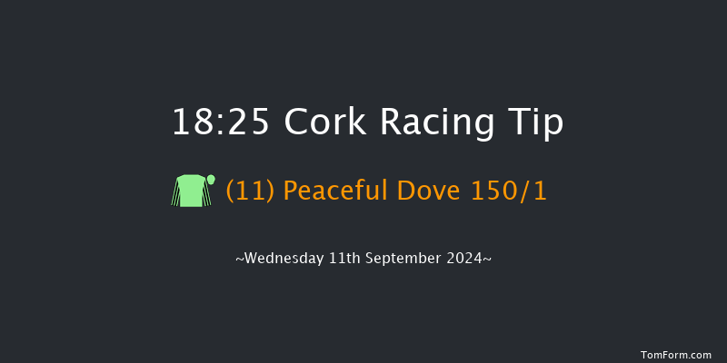 Cork  18:25 Maiden 8f Fri 16th Aug 2024