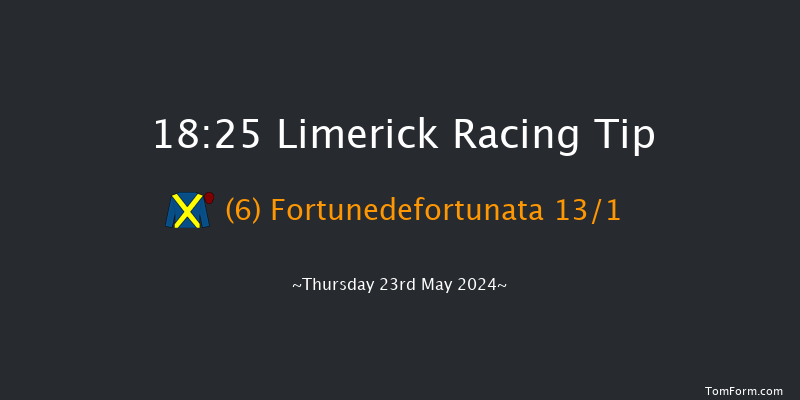 Limerick  18:25 Maiden Chase 20f Thu 16th May 2024