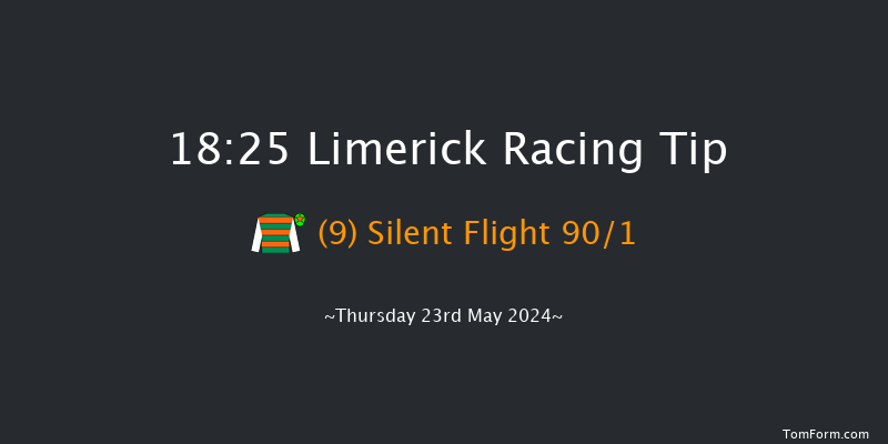 Limerick  18:25 Maiden Chase 20f Thu 16th May 2024