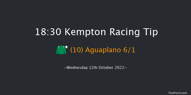 Kempton 18:30 Handicap (Class 4) 8f Wed 5th Oct 2022