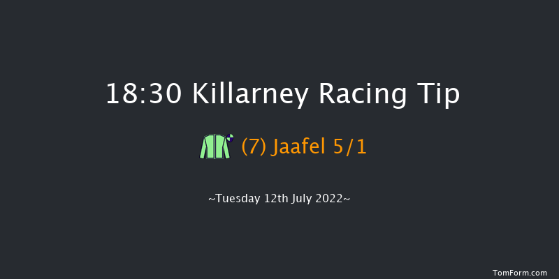 Killarney 18:30 Handicap 8f Mon 11th Jul 2022