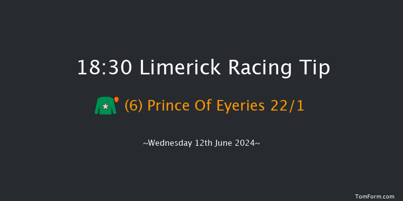 Limerick  18:30 Maiden 8f Thu 30th May 2024