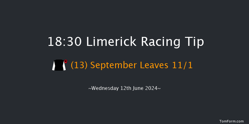 Limerick  18:30 Maiden 8f Thu 30th May 2024