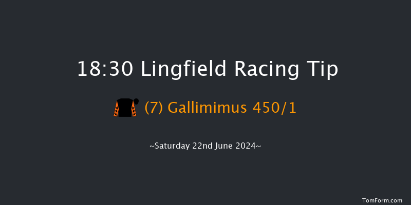 Lingfield  18:30 Handicap (Class 5) 12f Thu 20th Jun 2024