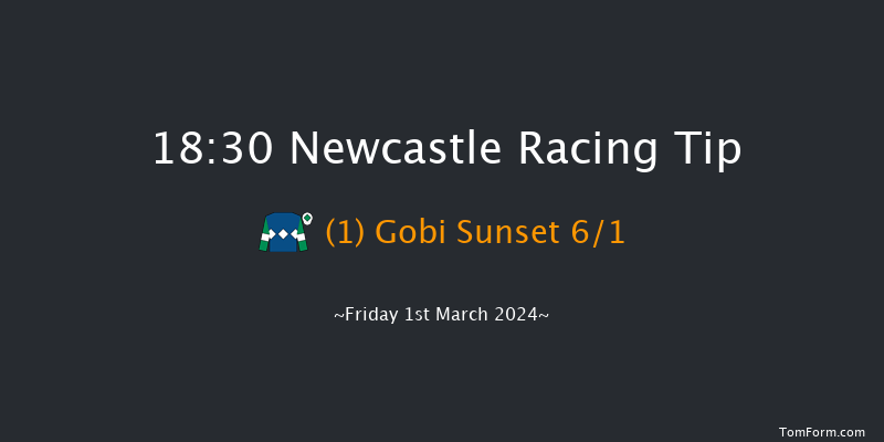 Newcastle  18:30 Handicap
(Class 5) 7f Sat 24th Feb 2024