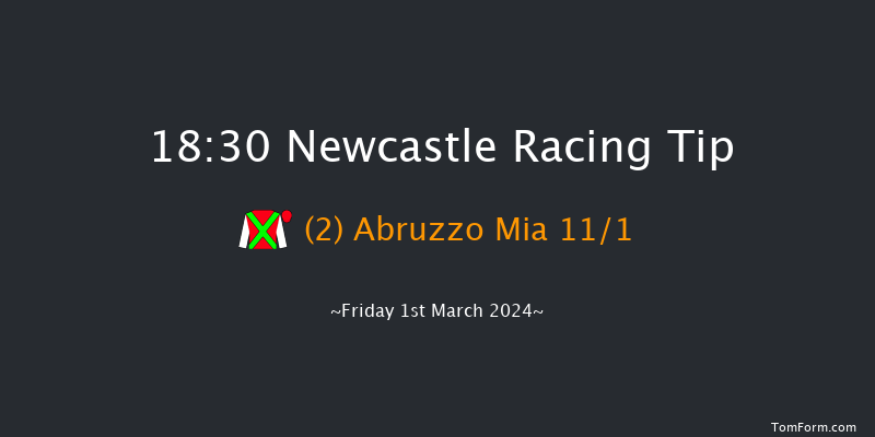 Newcastle  18:30 Handicap
(Class 5) 7f Sat 24th Feb 2024