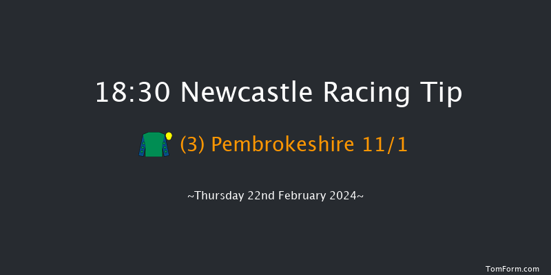 Newcastle  18:30 Handicap (Class 6) 6f Tue 20th Feb 2024