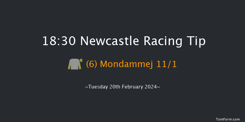 Newcastle  18:30 Handicap
(Class 3) 6f Sat 17th Feb 2024