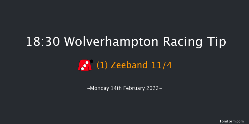 Wolverhampton 18:30 Handicap (Class 2) 16f Sat 12th Feb 2022