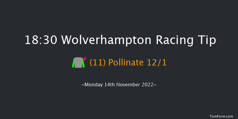 Wolverhampton 18:30 Handicap (Class 6) 5f Sat 12th Nov 2022