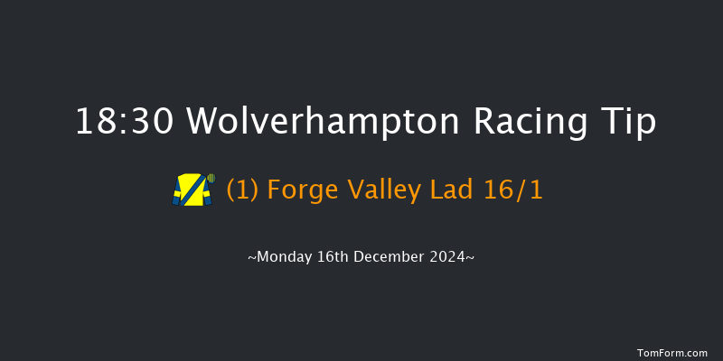 Wolverhampton  18:30 Handicap (Class 6) 12f Sat 14th Dec 2024