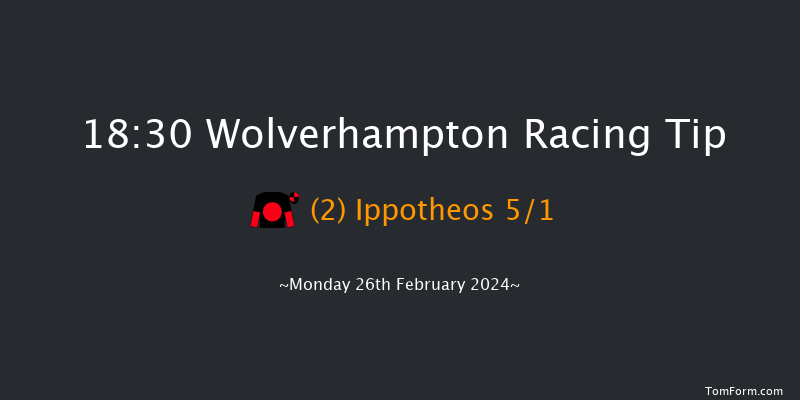 Wolverhampton  18:30 Handicap (Class 3) 9f Fri 23rd Feb 2024