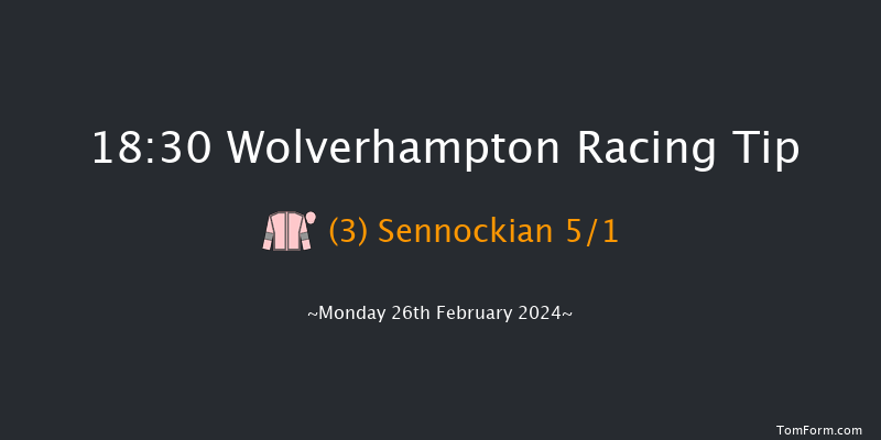 Wolverhampton  18:30 Handicap (Class 3) 9f Fri 23rd Feb 2024