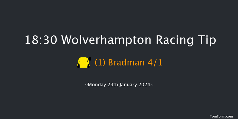 Wolverhampton  18:30 Handicap (Class 6) 12f Fri 26th Jan 2024