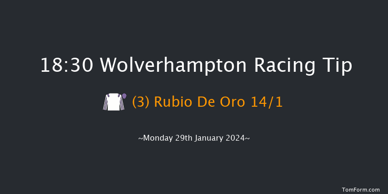 Wolverhampton  18:30 Handicap (Class 6) 12f Fri 26th Jan 2024