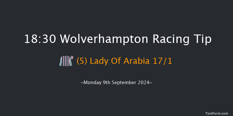 Wolverhampton  18:30 Handicap (Class 4) 8.5f  Sat 7th Sep 2024