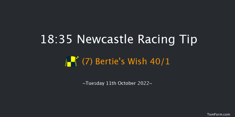 Newcastle 18:35 Handicap (Class 4) 8f Fri 7th Oct 2022