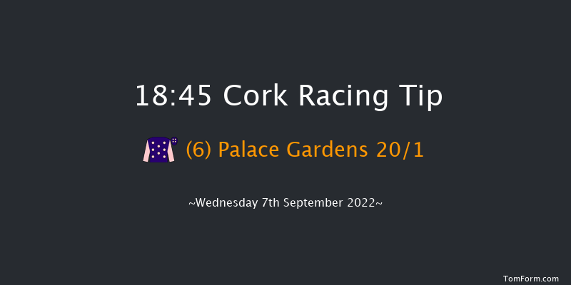 Cork 18:45 Handicap 7f Mon 1st Aug 2022