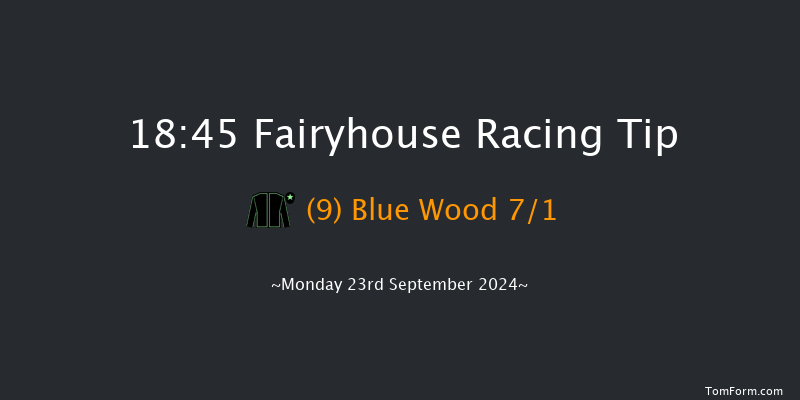 Fairyhouse  18:45 Handicap 6f Wed 10th Jul 2024