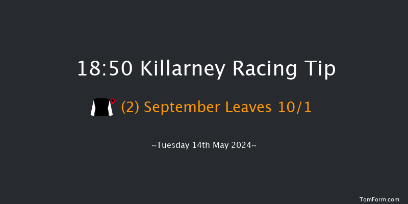 Killarney  18:50 Handicap 8f Mon 13th May 2024