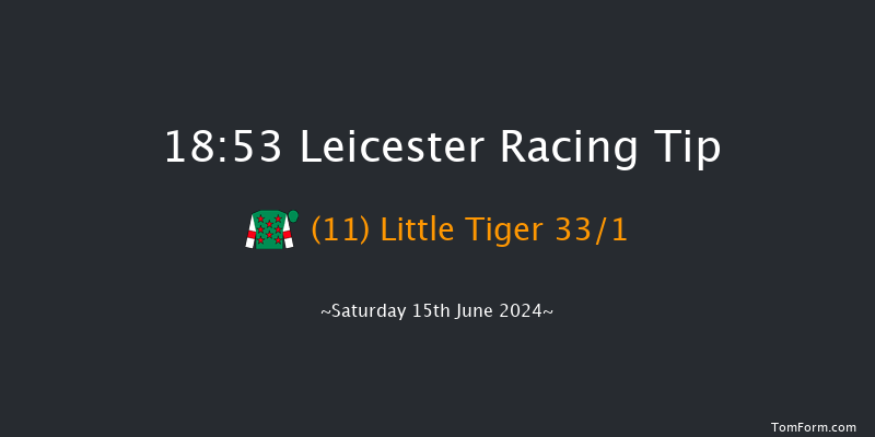 Leicester  18:53 Handicap (Class 6) 12f Tue 4th Jun 2024