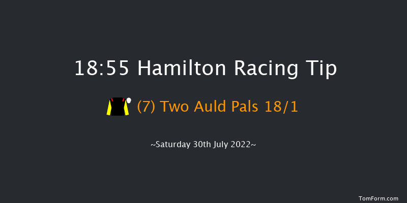 Hamilton 18:55 Handicap (Class 4) 13f Fri 15th Jul 2022