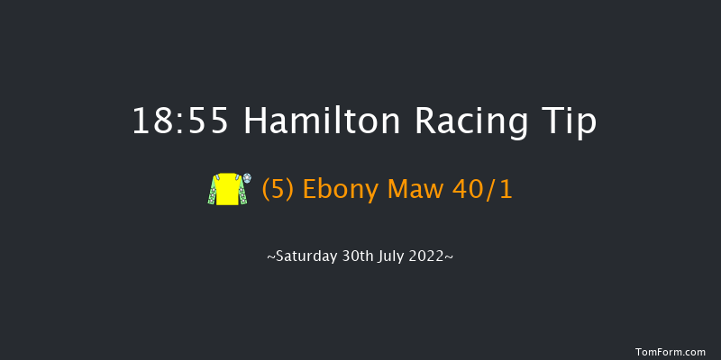 Hamilton 18:55 Handicap (Class 4) 13f Fri 15th Jul 2022