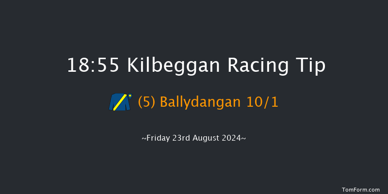 Kilbeggan  18:55 Handicap Chase 26f Fri 12th Jul 2024