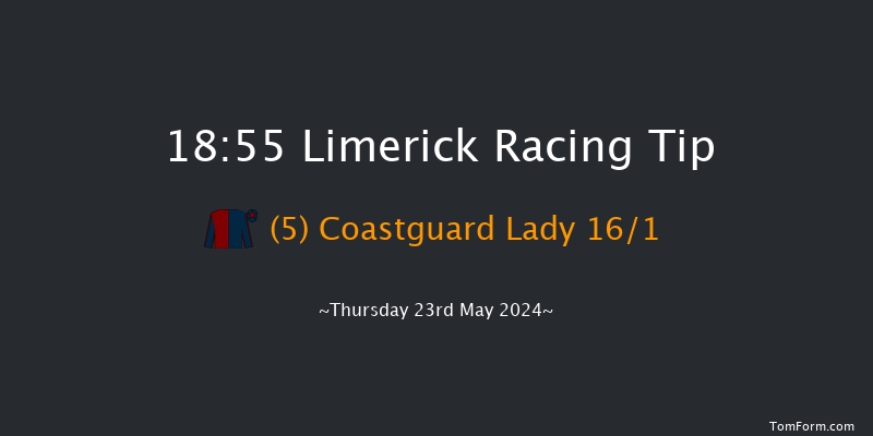 Limerick  18:55 Handicap Chase 20f Thu 16th May 2024