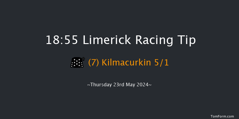 Limerick  18:55 Handicap Chase 20f Thu 16th May 2024