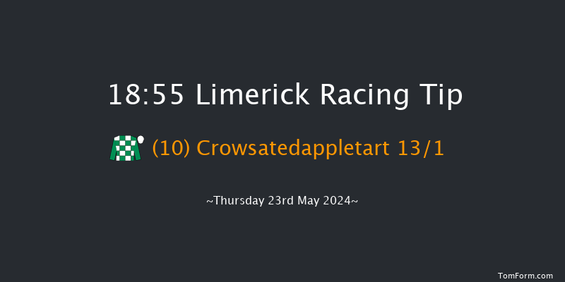 Limerick  18:55 Handicap Chase 20f Thu 16th May 2024