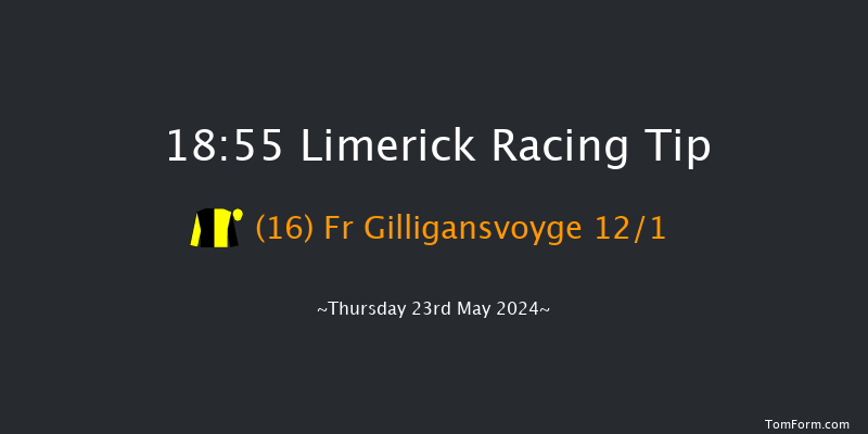 Limerick  18:55 Handicap Chase 20f Thu 16th May 2024