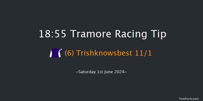 Tramore  18:55 Handicap Hurdle 16f Fri 31st May 2024