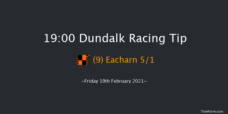 HOLLYWOODBETS HORSE RACING AND SPORTS BETTING Handicap (45-65) (Div 2) Dundalk 19:00 Handicap 8f Wed 17th Feb 2021