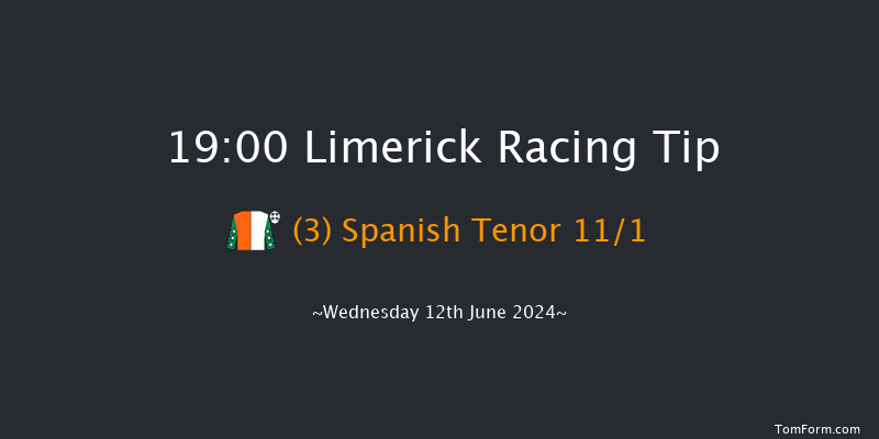 Limerick  19:00 Handicap 8f Thu 30th May 2024