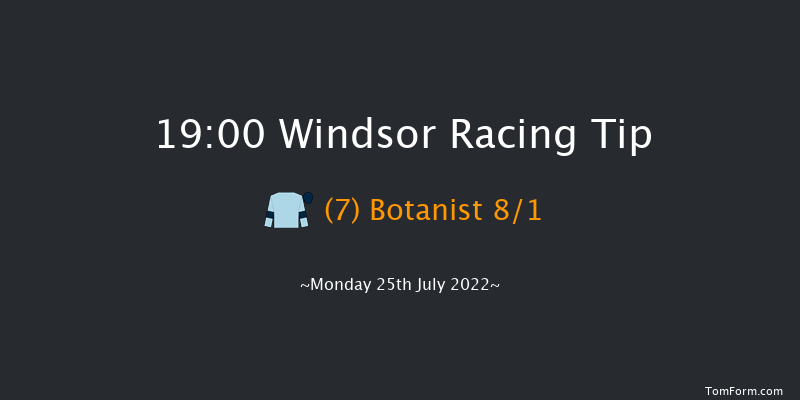 Windsor 19:00 Handicap (Class 4) 6f Mon 11th Jul 2022