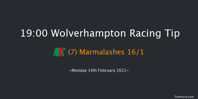 Wolverhampton 19:00 Stakes (Class 5) 9.5f Sat 12th Feb 2022