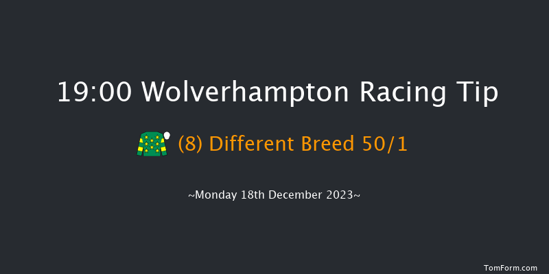 Wolverhampton 19:00 Handicap (Class 4) 7f Sat 16th Dec 2023