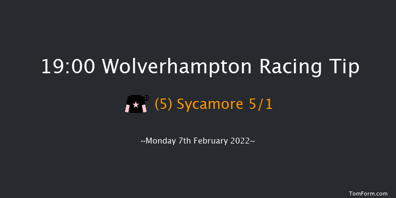 Wolverhampton 19:00 Handicap (Class 3) 9f Tue 1st Feb 2022