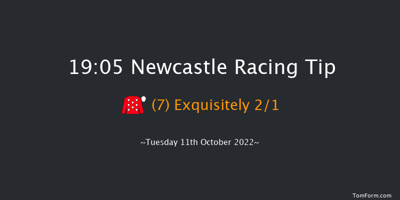 Newcastle 19:05 Stakes (Class 5) 5f Fri 7th Oct 2022