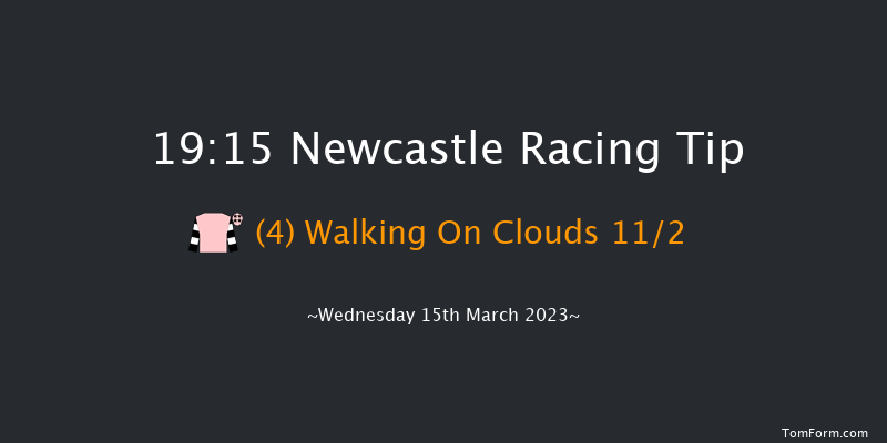 Newcastle 19:15 Handicap (Class 4) 7f Tue 14th Mar 2023