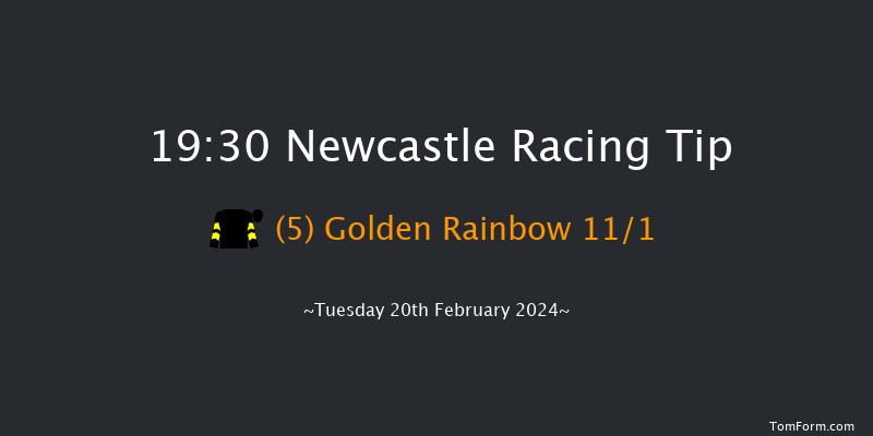 Newcastle  19:30 Stakes
(Class 6) 5f Sat 17th Feb 2024