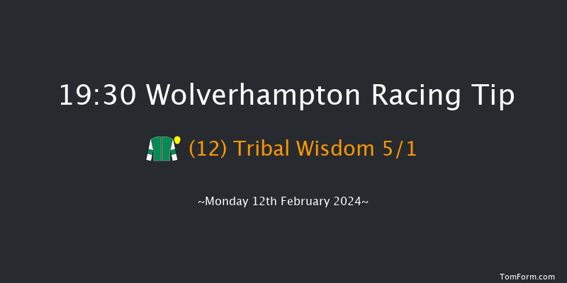 Wolverhampton  19:30 Handicap (Class 5) 10f Sat 10th Feb 2024