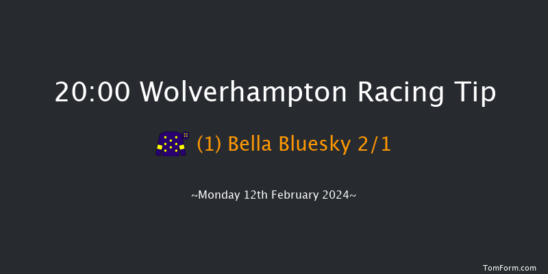 Wolverhampton  20:00 Stakes (Class 6) 12f Sat 10th Feb 2024