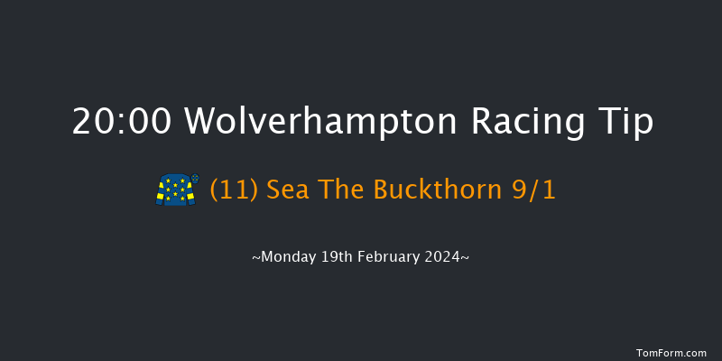 Wolverhampton  20:00 Handicap (Class 6) 7f Sat 17th Feb 2024