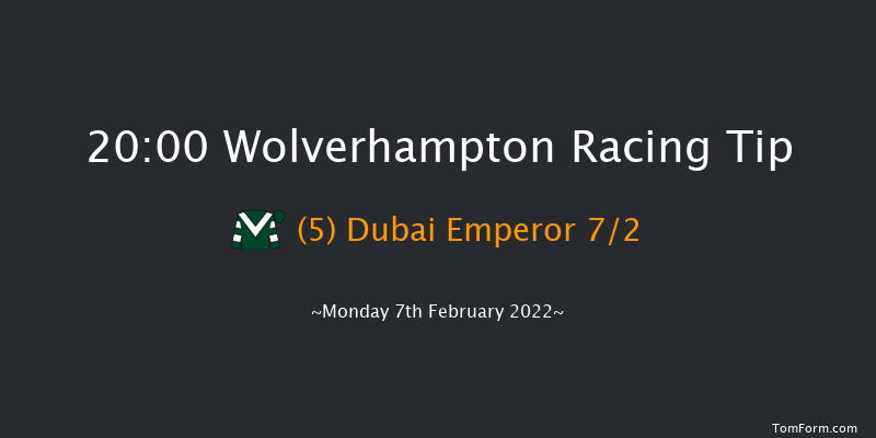 Wolverhampton 20:00 Handicap (Class 6) 9.5f Tue 1st Feb 2022