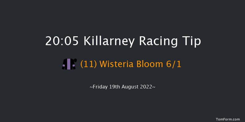 Killarney 20:05 NH Flat Race 17f Thu 18th Aug 2022