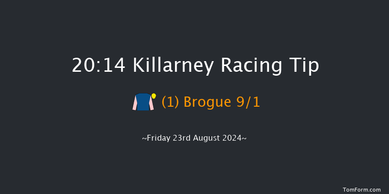 Killarney  20:14 Stakes 17f Thu 22nd Aug 2024