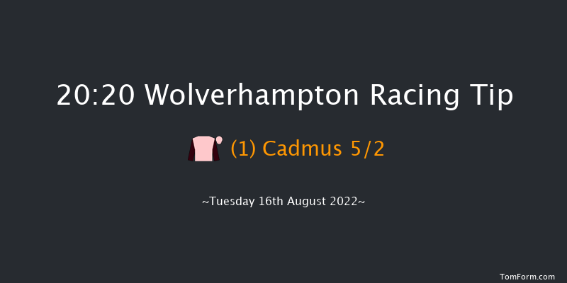 Wolverhampton 20:20 Stakes (Class 5) 12f Sat 13th Aug 2022